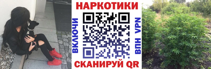 Какие есть наркотики Феодосия Марихуана  Амфетамин  ГАШИШ  Псилоцибиновые грибы  Меф 